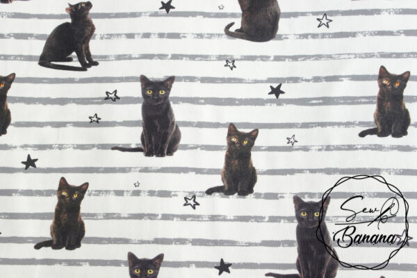 kitty cat jersey