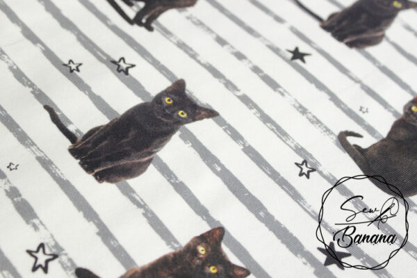 kitty cat jersey