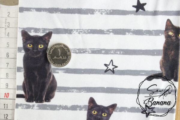 kitty cat jersey