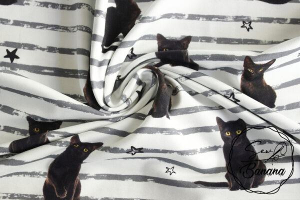 kitty cat jersey