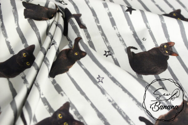kitty cat jersey