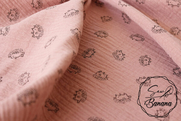 hedgehog Ash Rose