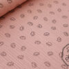 hedgehog Ash Rose
