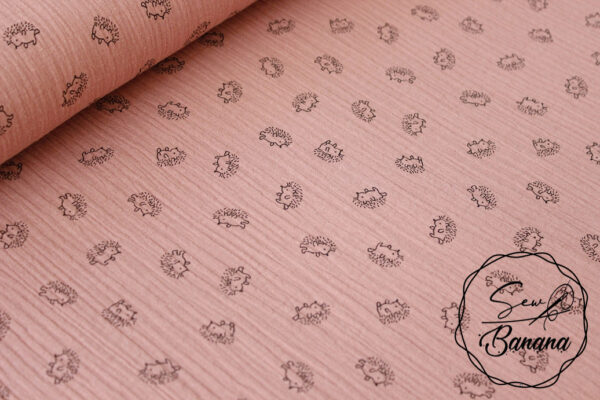hedgehog Ash Rose