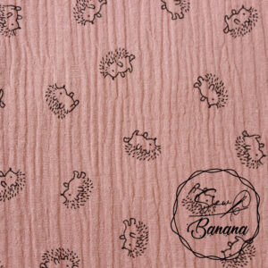 hedgehog Ash Rose