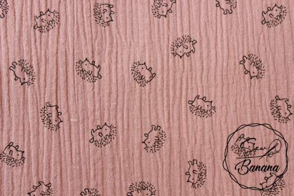 hedgehog Ash Rose