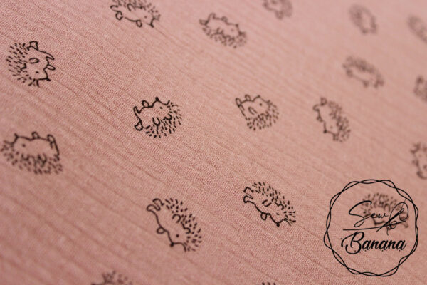 hedgehog Ash Rose