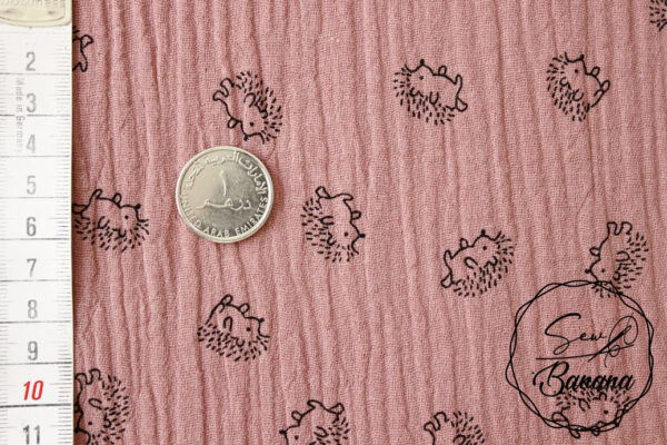 hedgehog Ash Rose