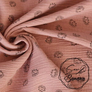 hedgehog Ash Rose