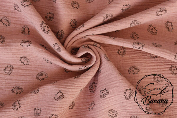 hedgehog Ash Rose