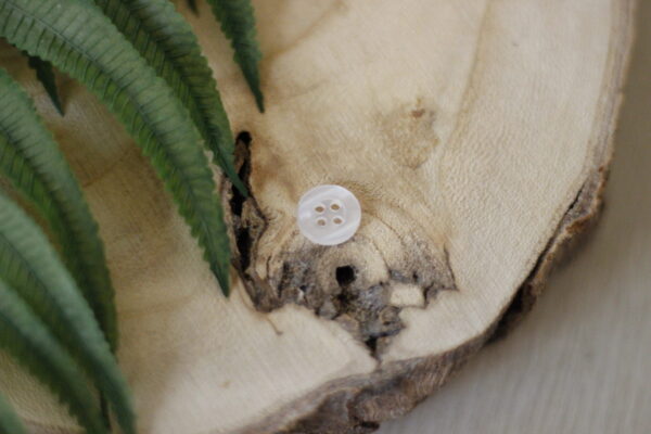 10 mm seashell color button