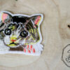 cat iron on