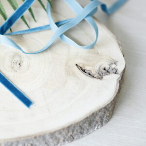 Biscay Bay 1cm velvelt ribbon