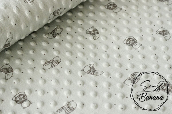 minky fleece sky gray