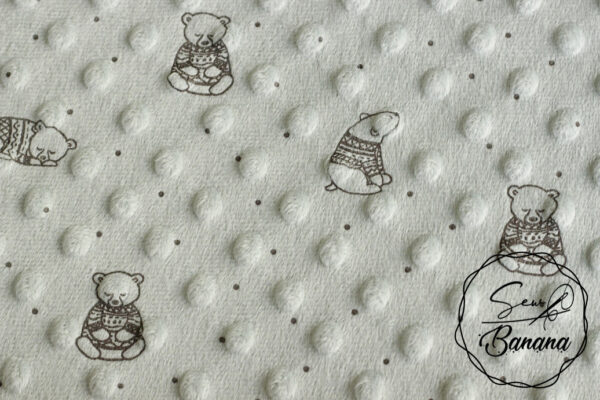 minky fleece sky gray